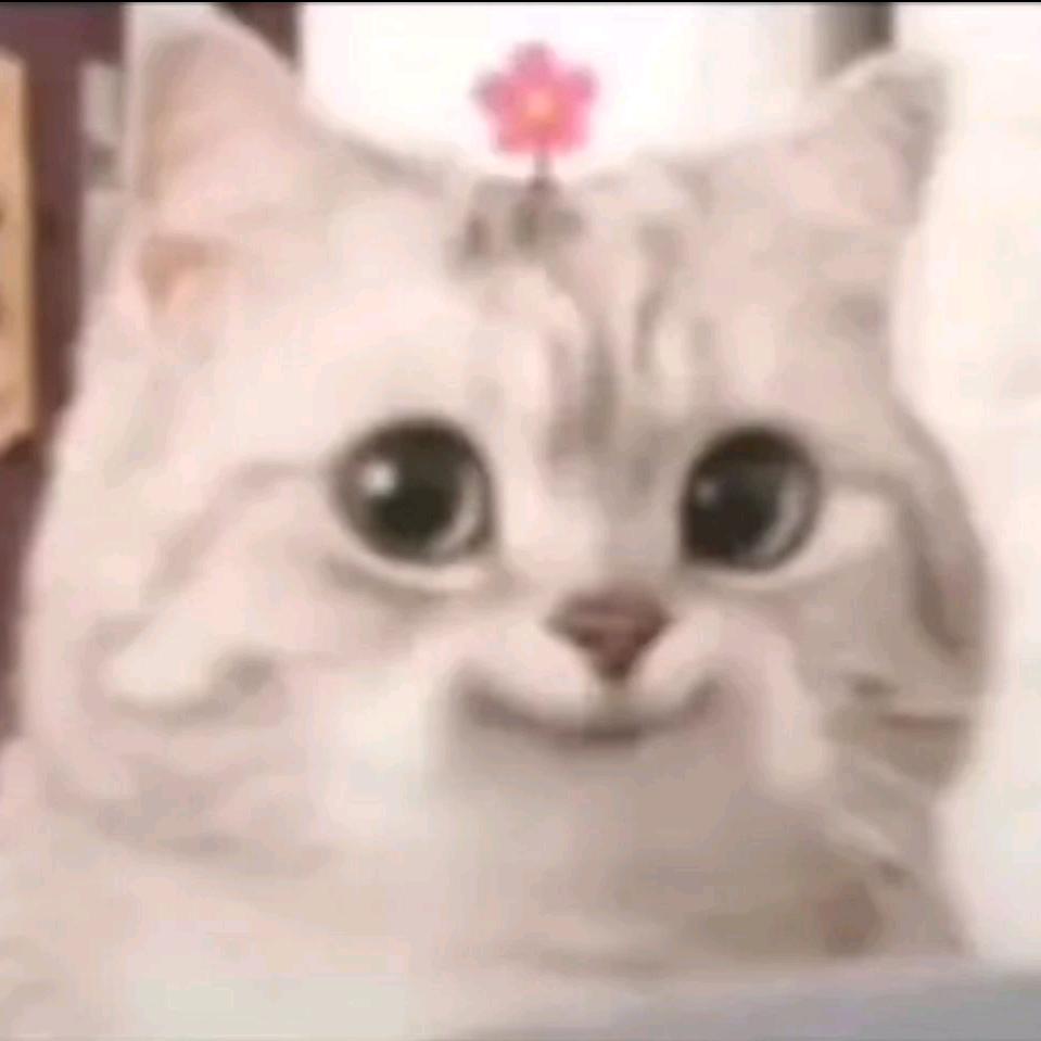 真的吃不饱