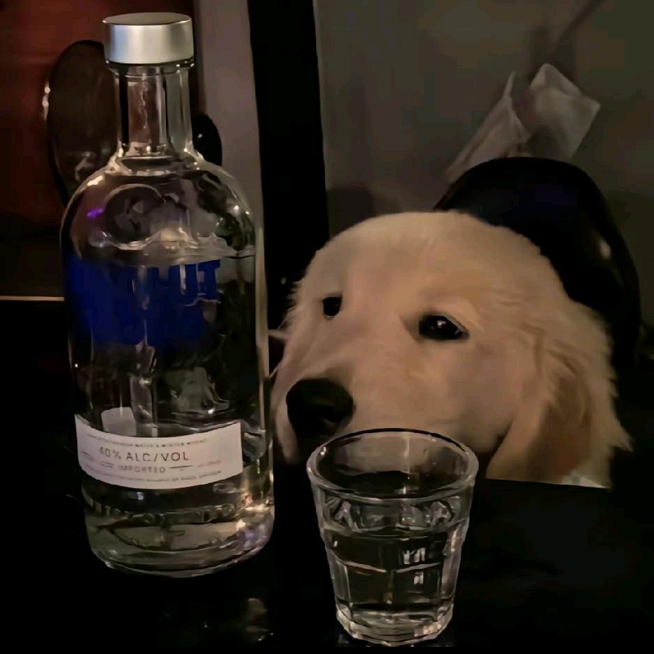 酒徒sama