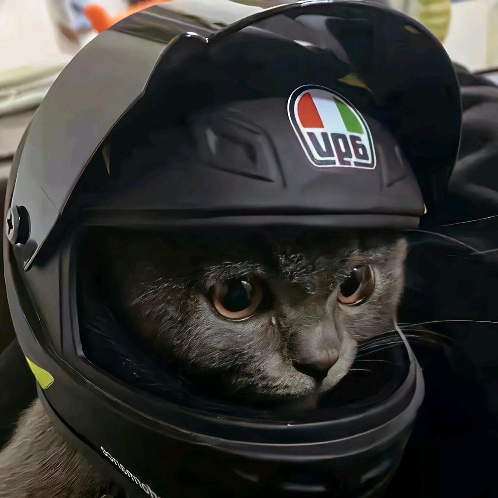 高级积木测量员