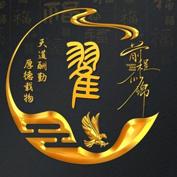 Z十二