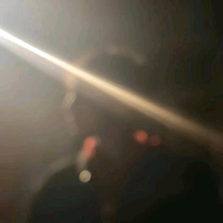 阿魚