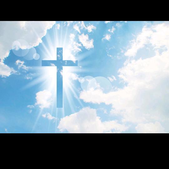 跳动的火焰碗豆