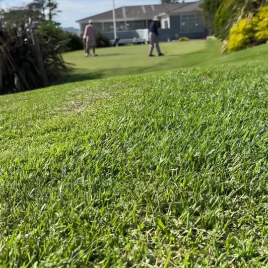 租房。住宿。古，月。胡