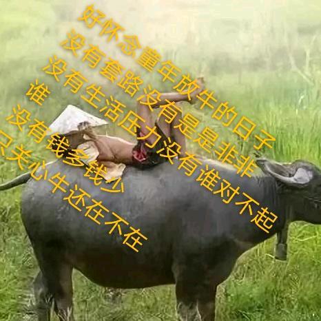 无言的结局