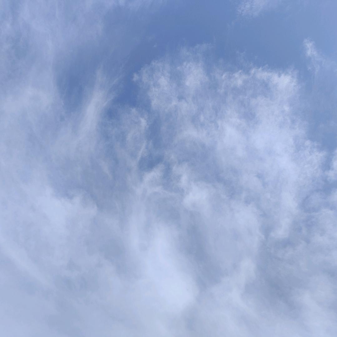 🎸🎸附马爷💯