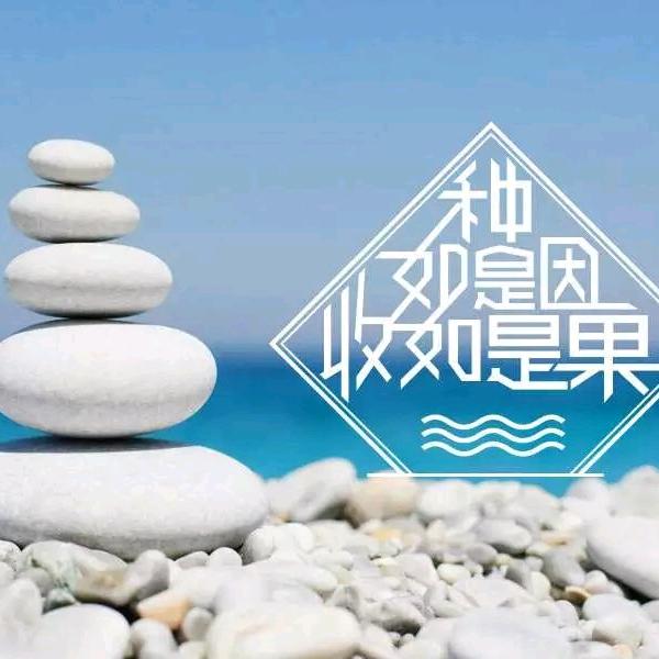 哈喽