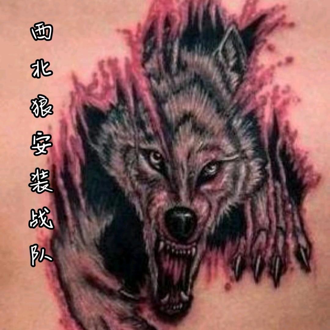 🔥西北々狼精英安装战队🔥雨哥