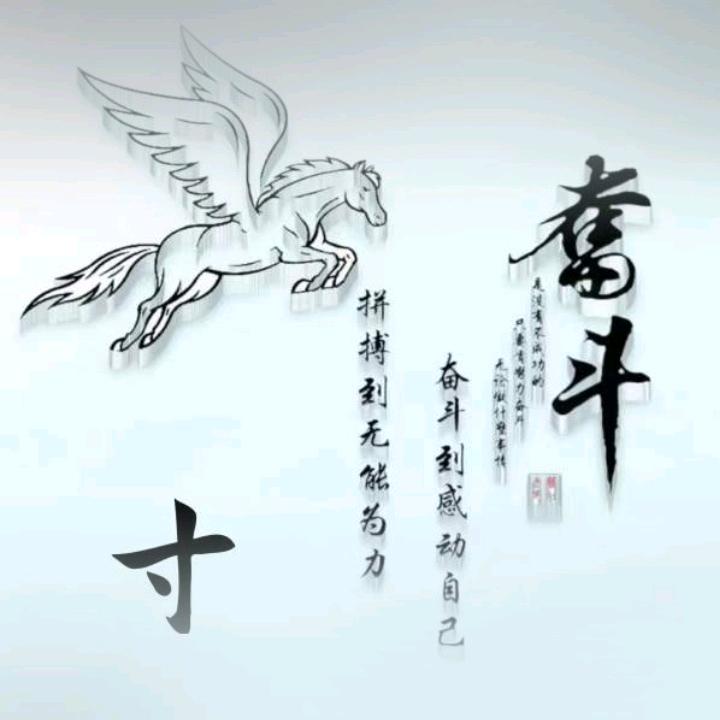 品味茶香