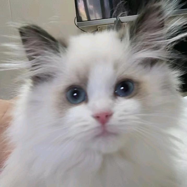 李♥所☆当℡然