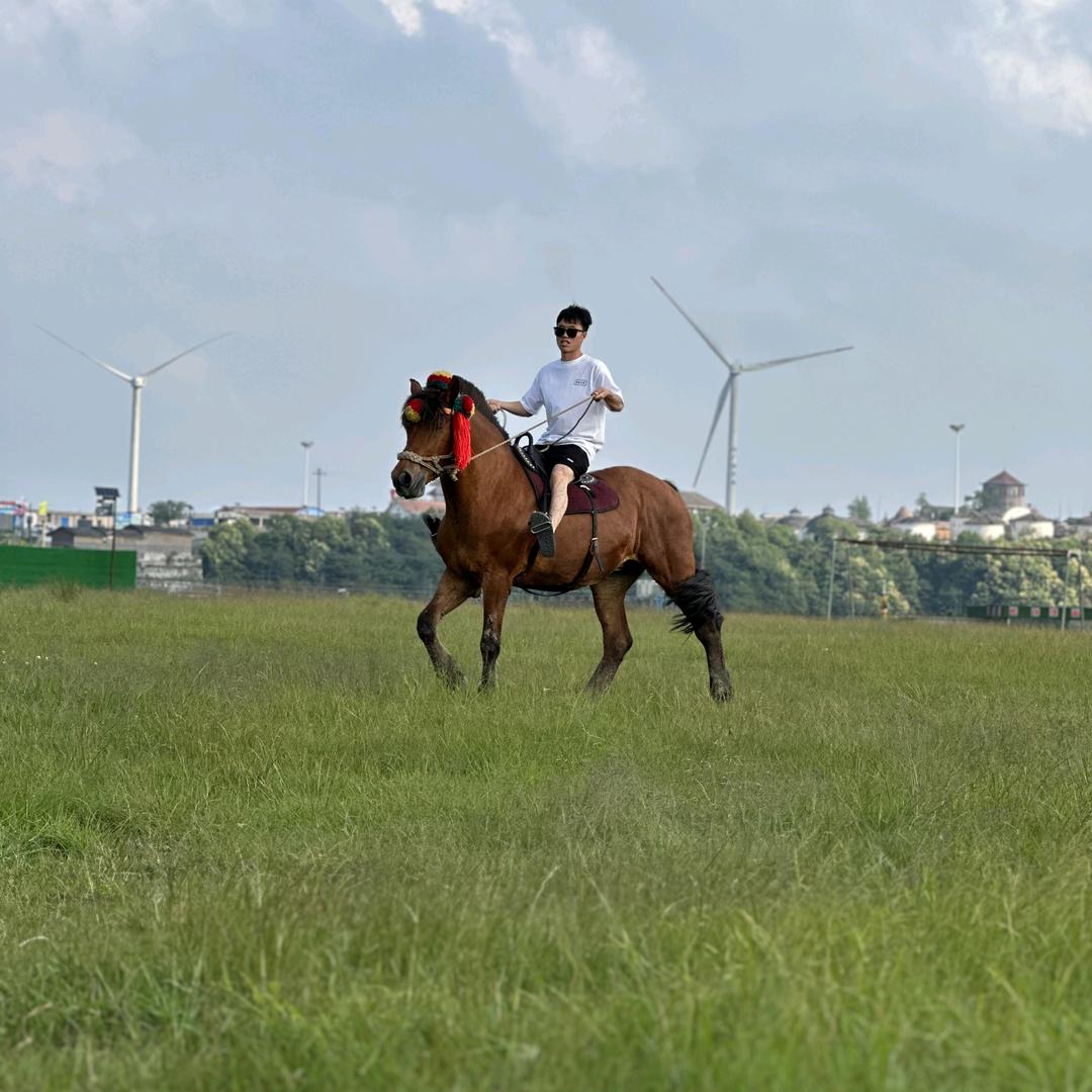 以梦为🐎
