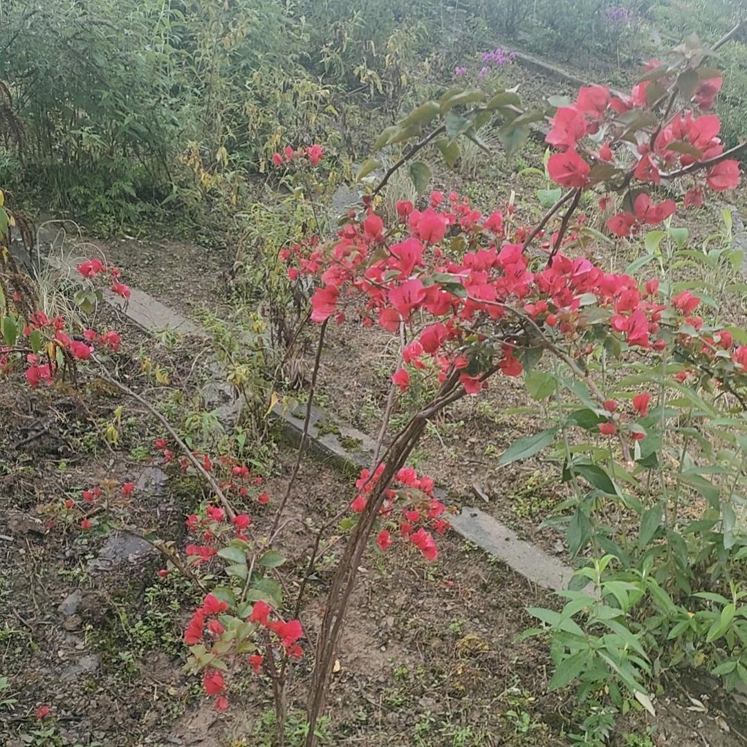 与谁把酒言欢