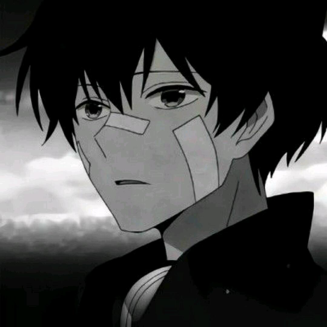 阿尔卑斯大灰狼🐺