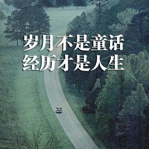喜欢NS头像