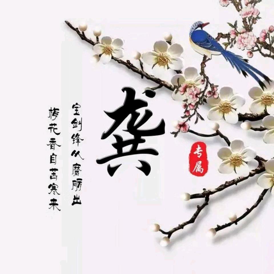 雨虹防水