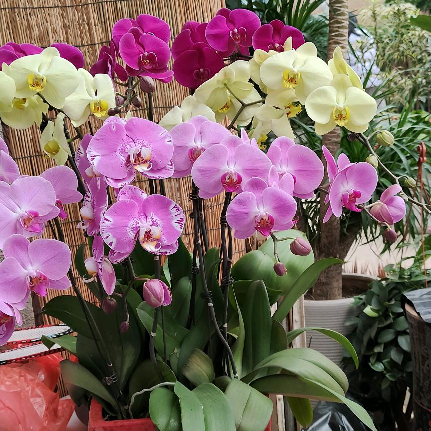 初冬 阳光暖暖滴