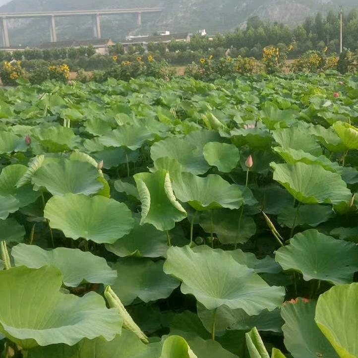 风风雨雨，酸甜苦辣