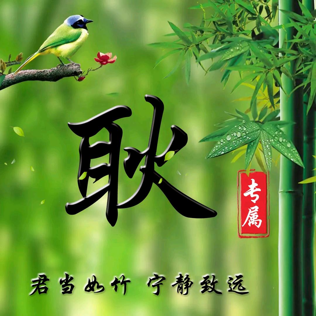 耿耿没有余淮