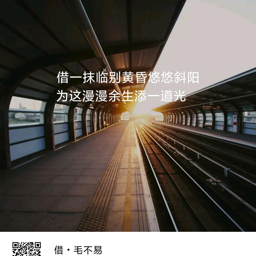扑棱蛾子
