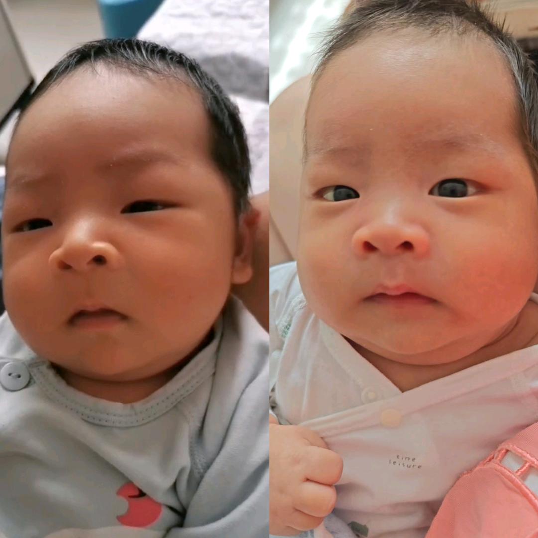 张志民，四季发财