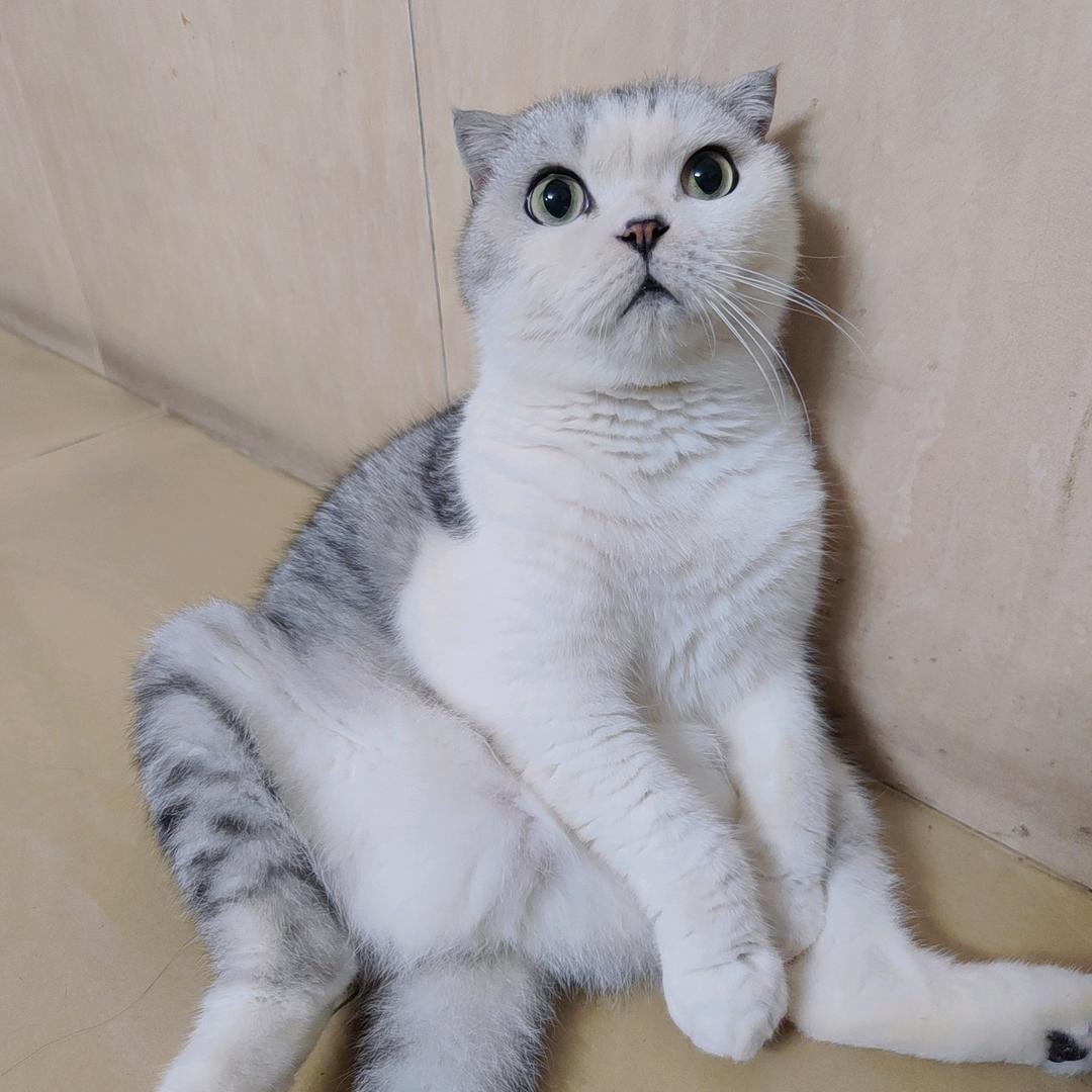 老大爷腻腻