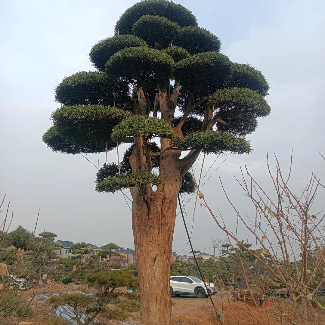 赚的不是钱，而是疲劳