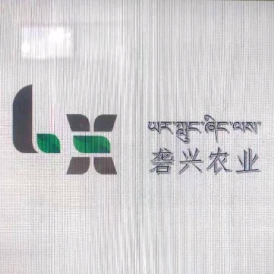 高原特色黑豌豆粉丝