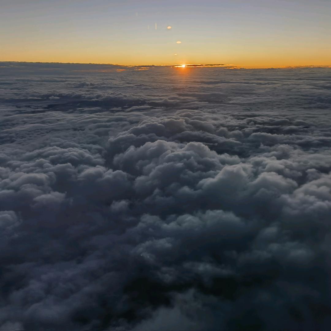 命里有时终须有