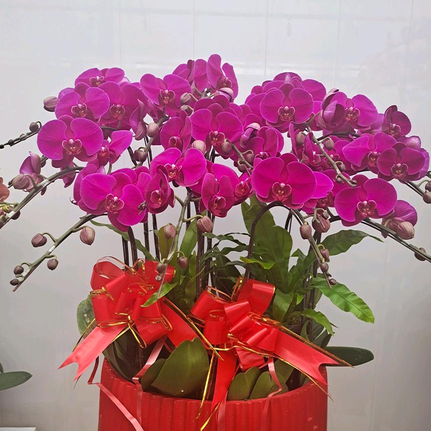 加点花