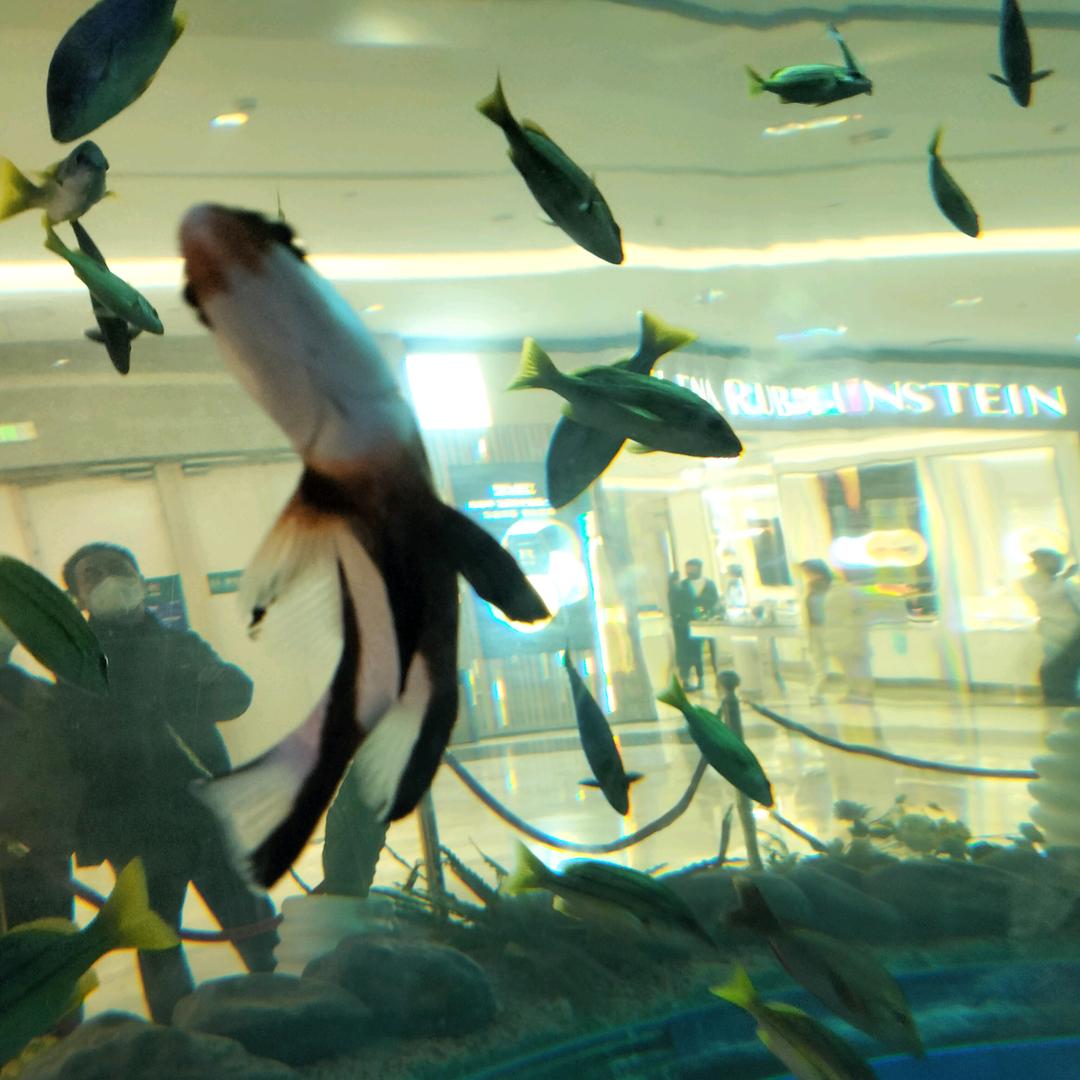 顺风🌾顺水🌿