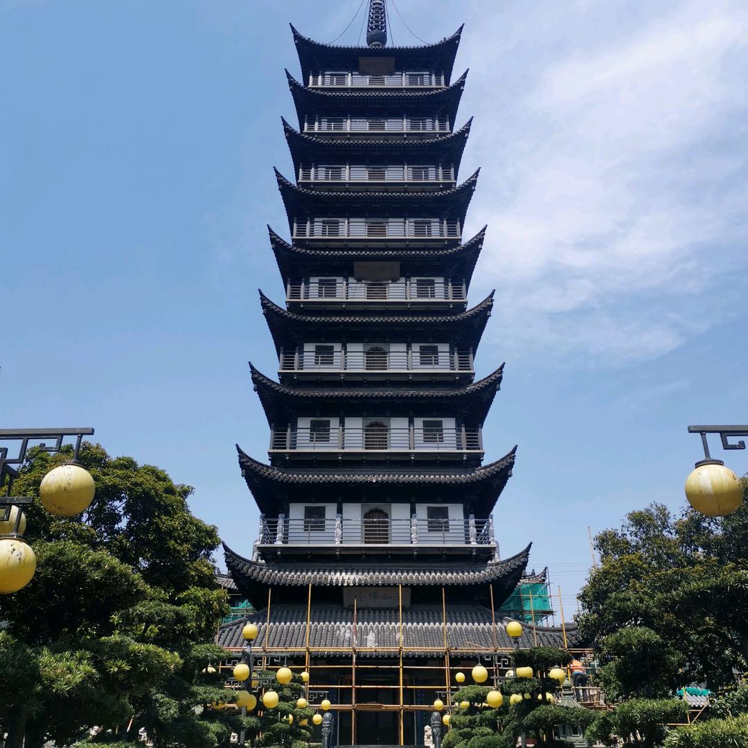 观雎