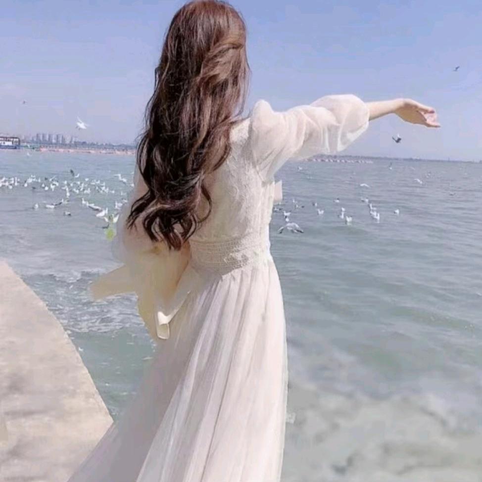 鸿燕优选