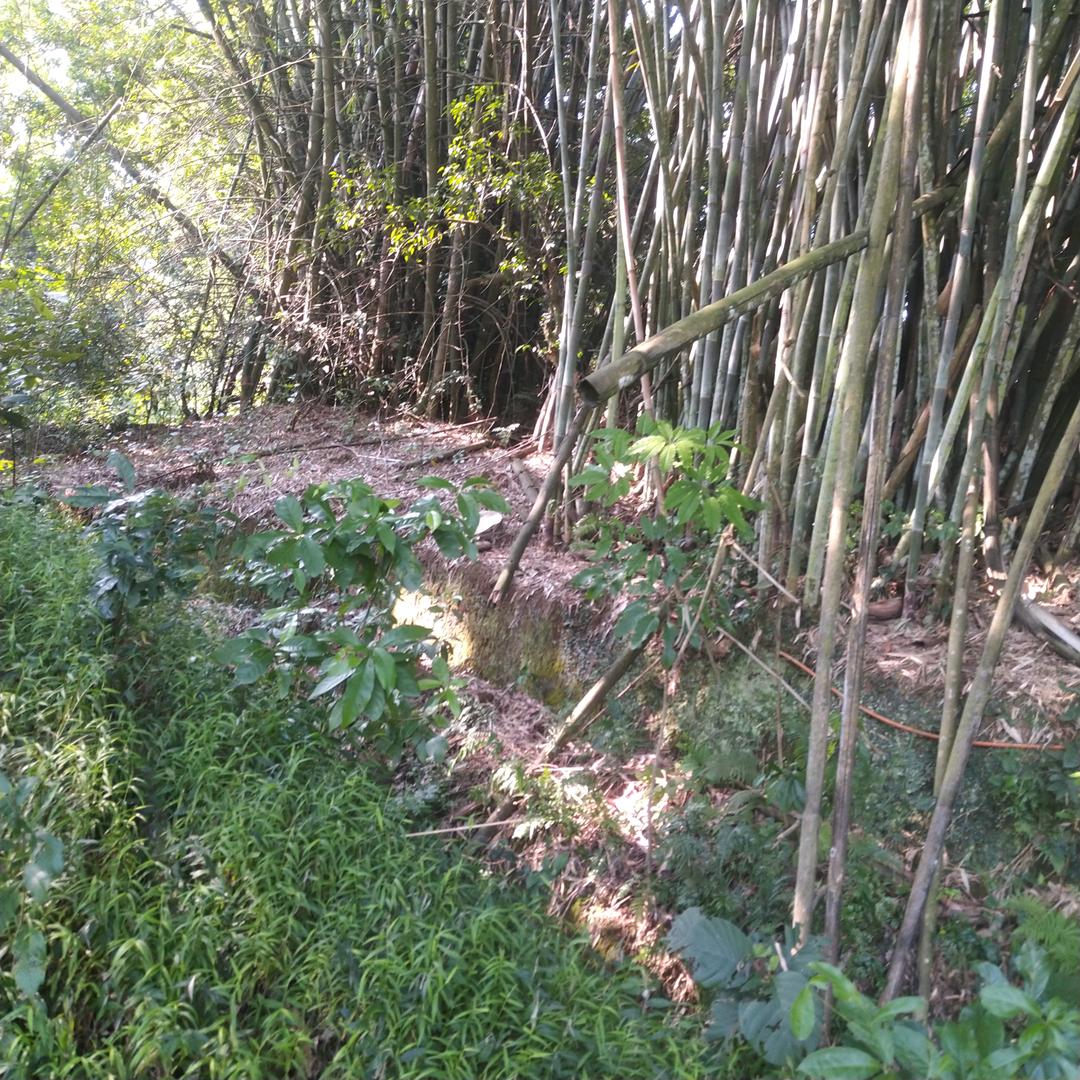 多方炮的一巴掌