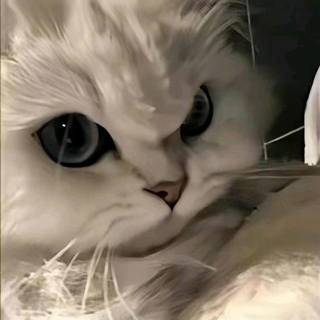 啸一啸
