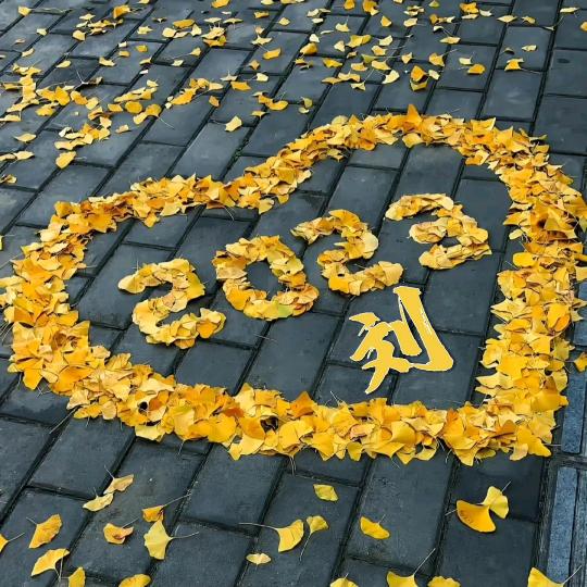 ༺ཌༀ知足常乐ༀད༻