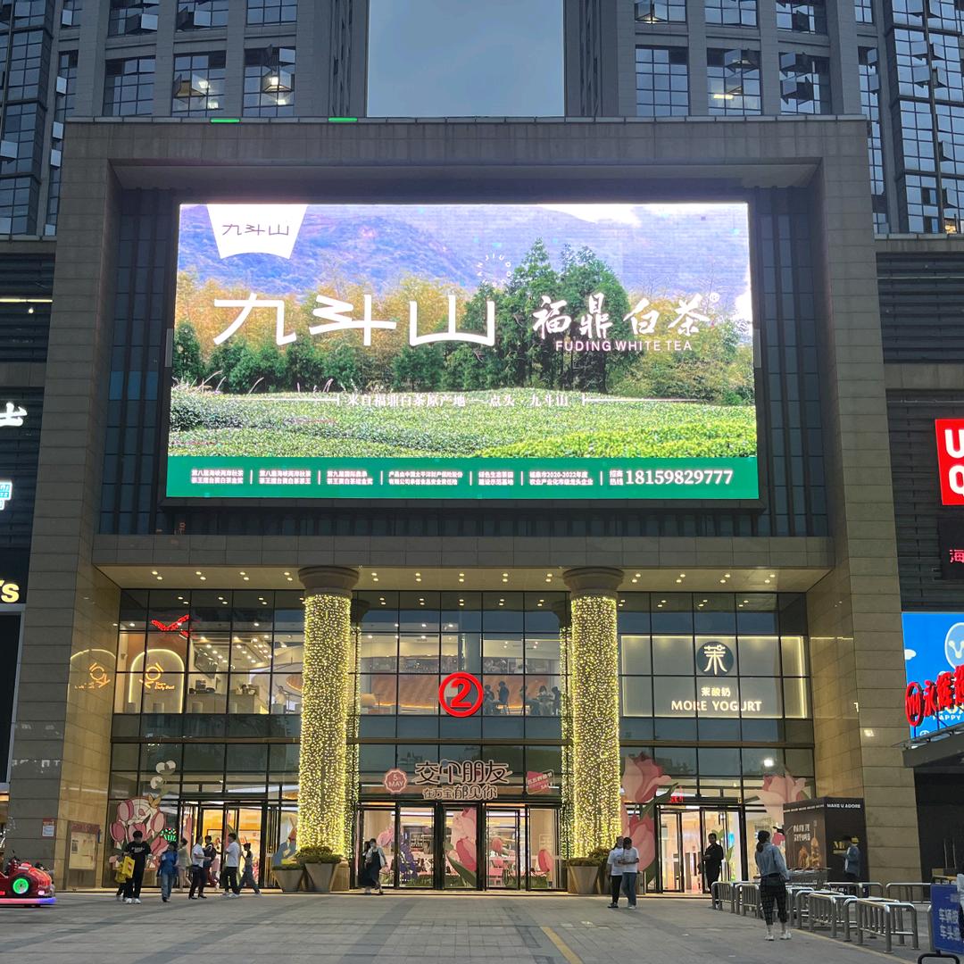 福鼎白茶-九斗山-龙岩总代