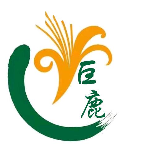 巨鹿金银花特级