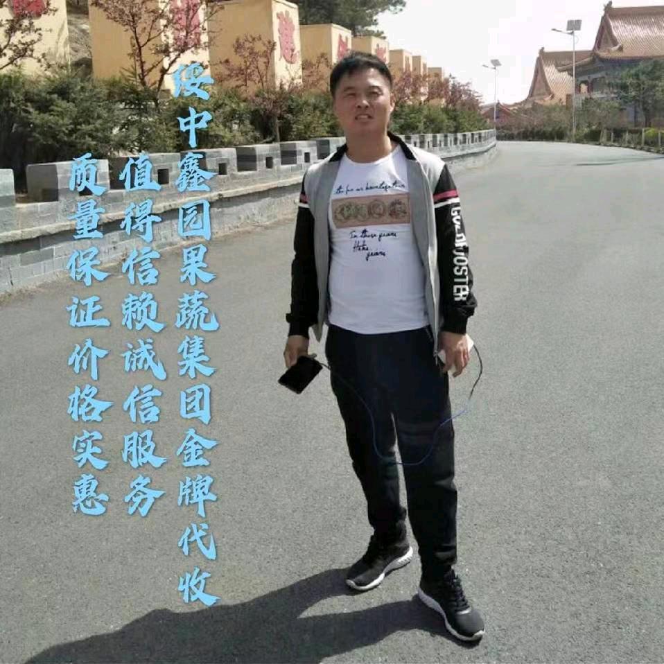绥中县网户乡鑫园果蔬种植专业合作社