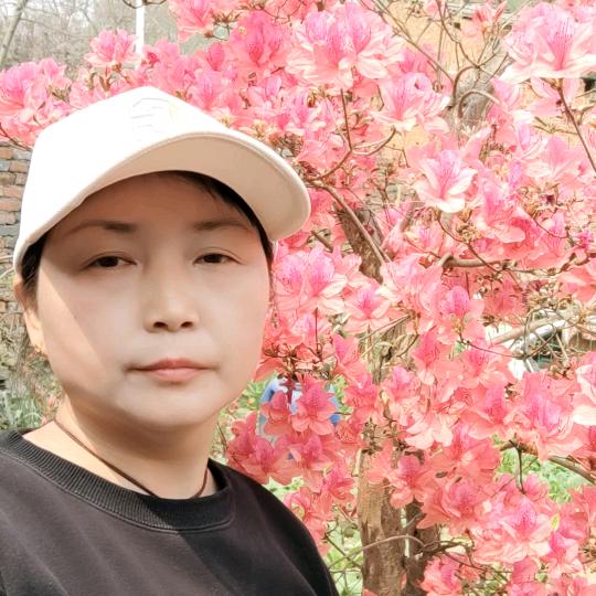 田家姑娘