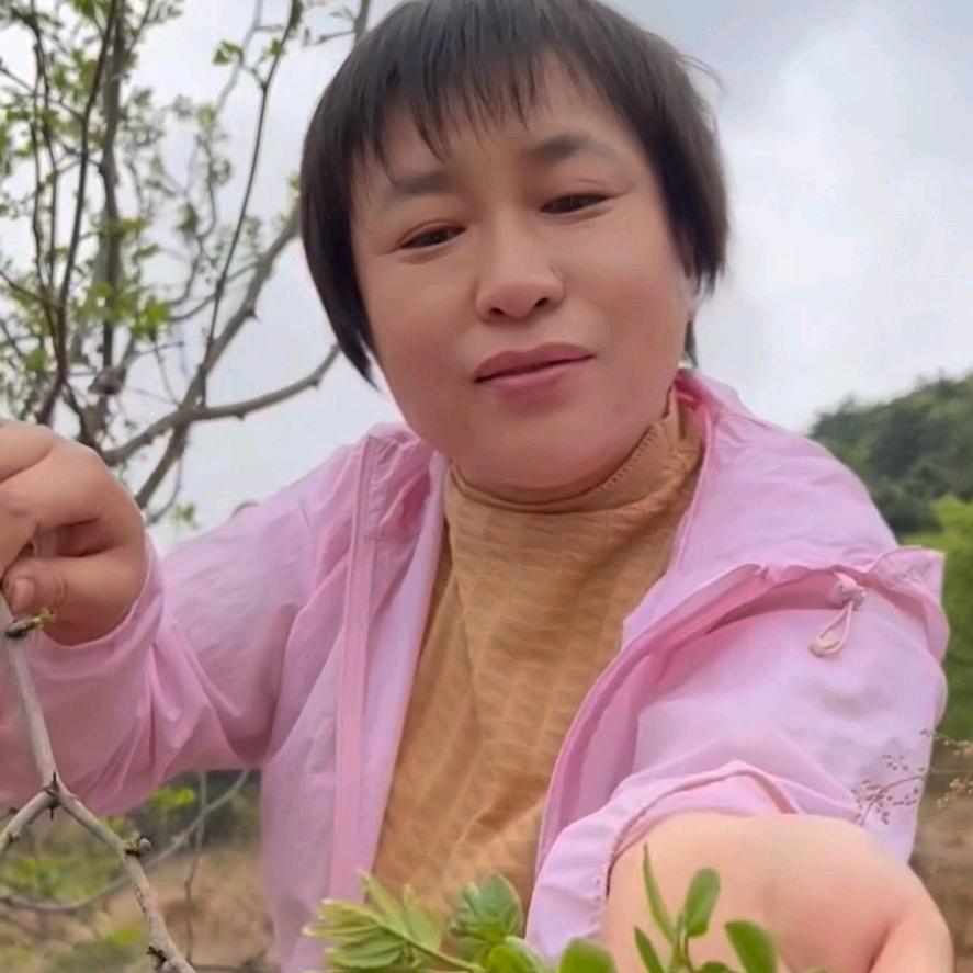 丁姐姐