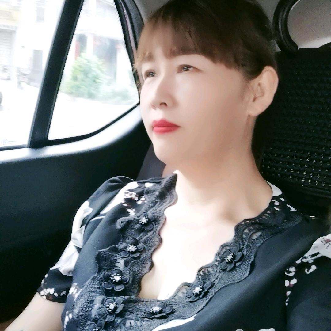 河南人在浙江杨