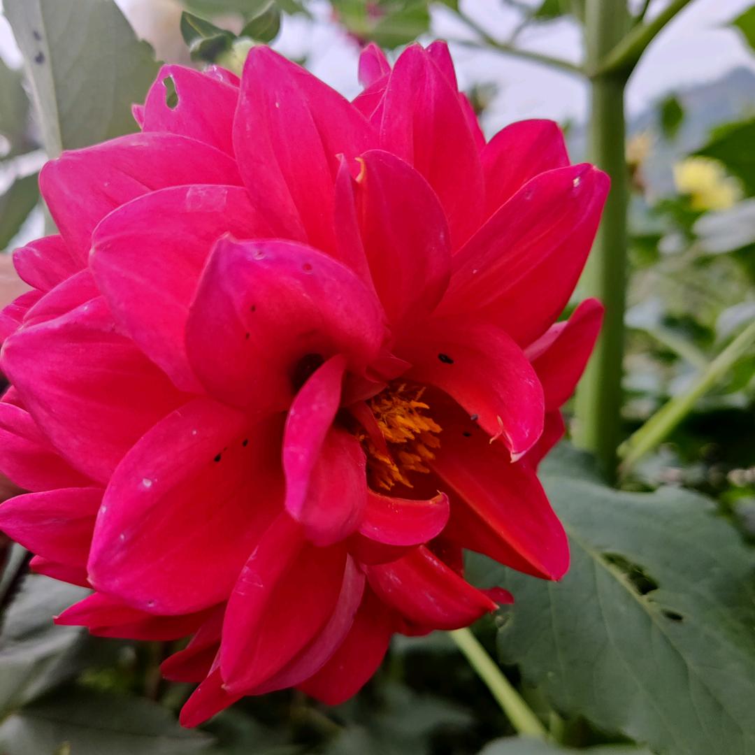 天天开心❤快乐