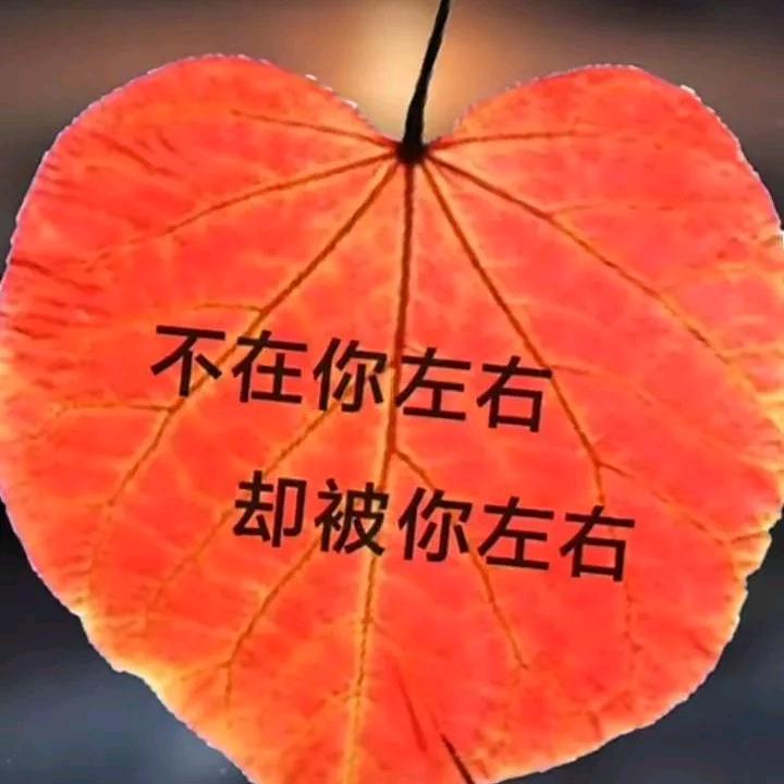 下一站,幸福