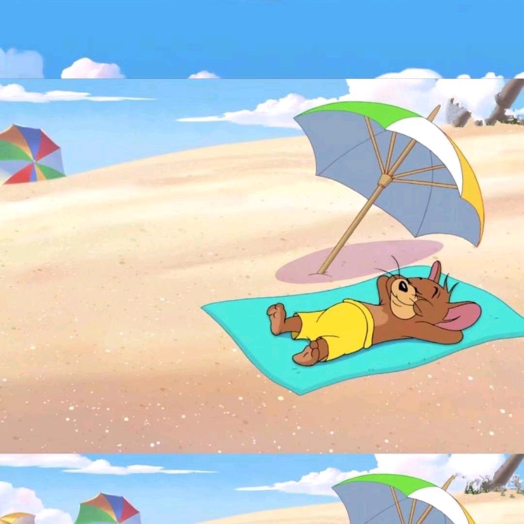 给我一手猪猪牌