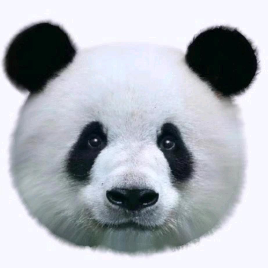 北京企业RONGZI-冉冉