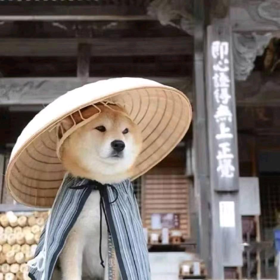 摄像小郑