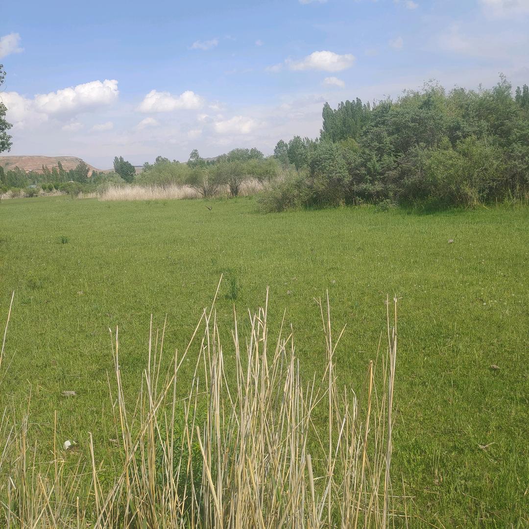 孽海枭雄，灵魂舵手