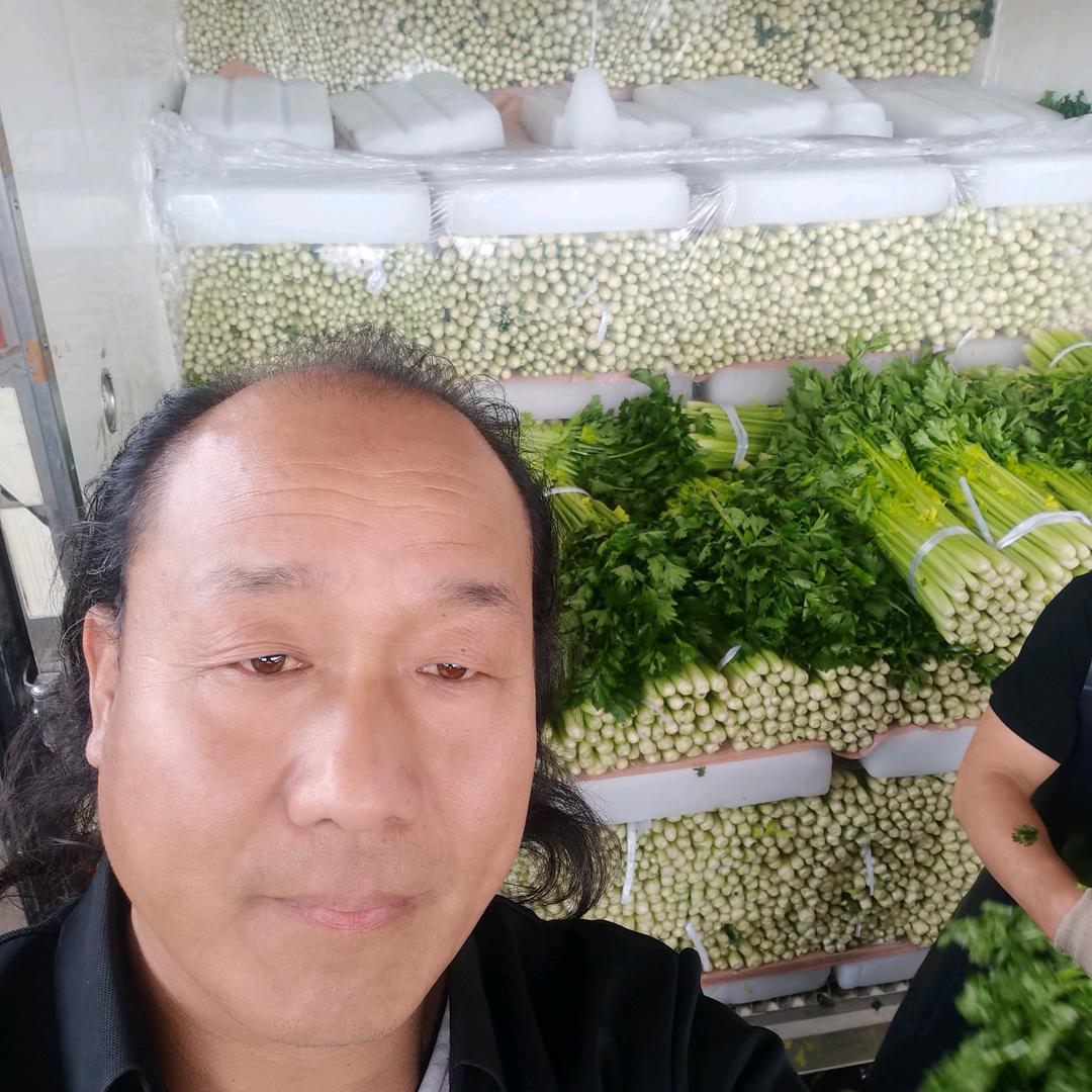 陕西蔬菜代办田重太（芹菜苗基地批发）
