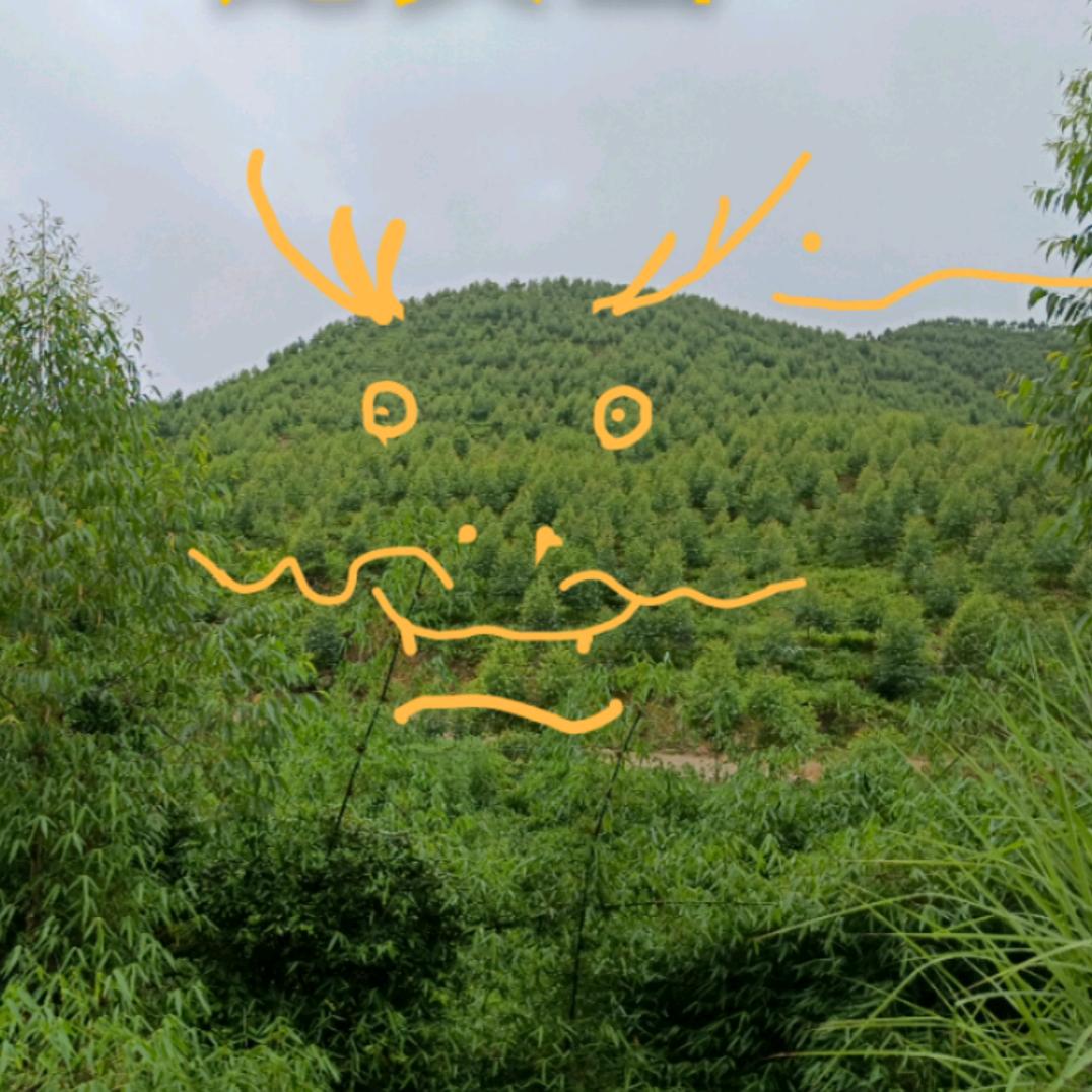 黄师傅地理真功夫