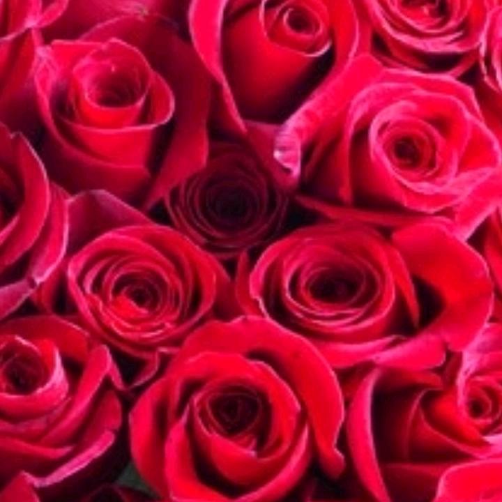 幸福快乐每一天🌹🌹