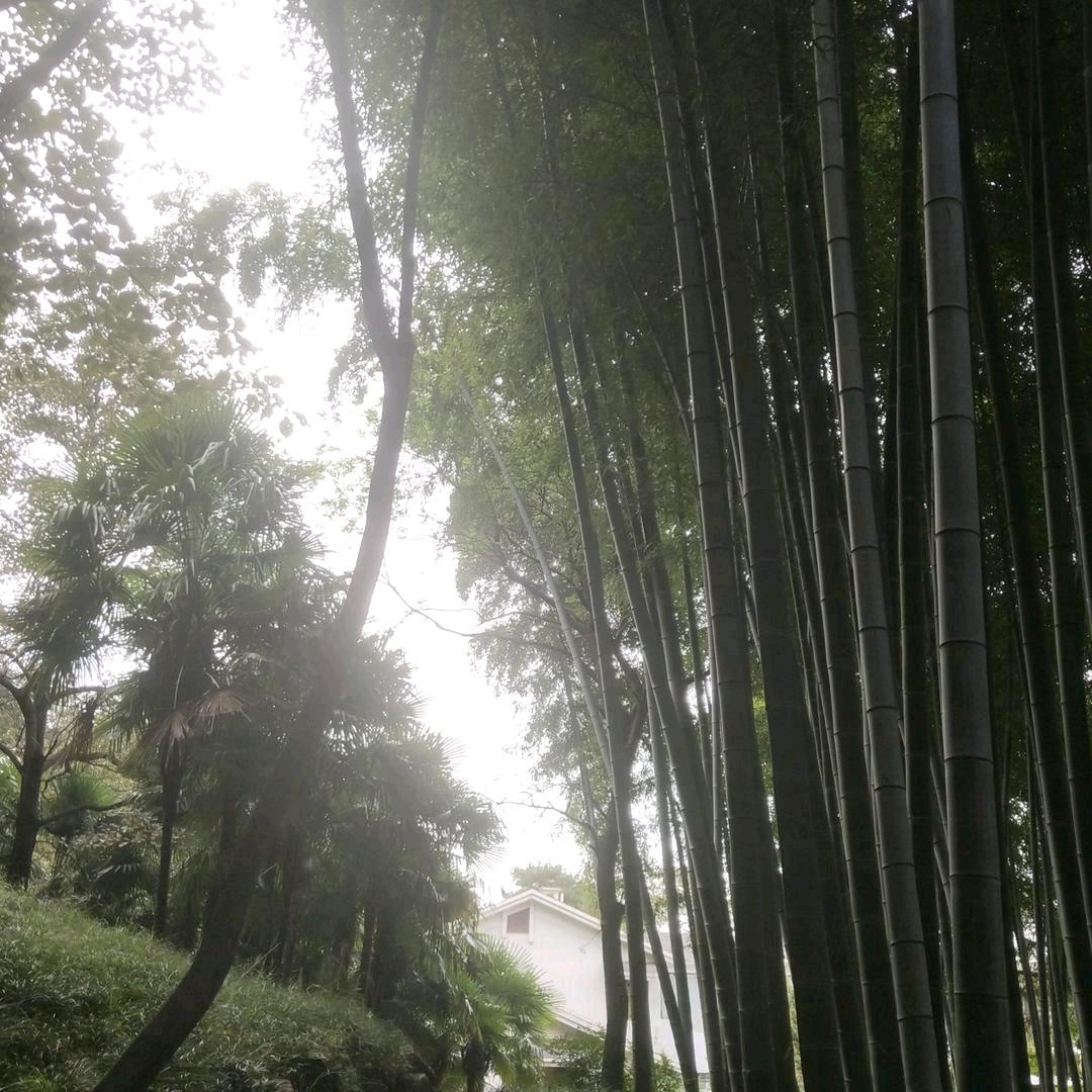 甜蜜的幸福